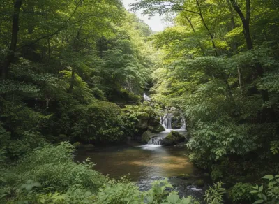 Benog Wildlife Sanctuary