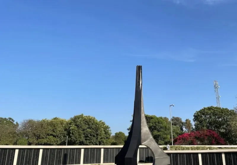 Bougainvillea Garden