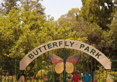 Butterfly Park