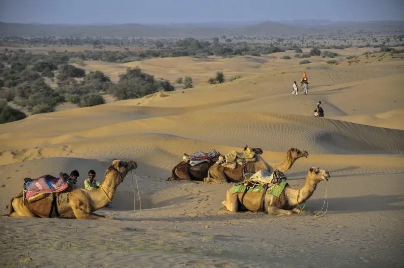 Weather in Rajasthan in March – Jaipur, Jaisalmer & More