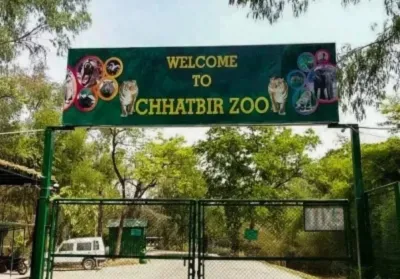 Chhatbir Zoo