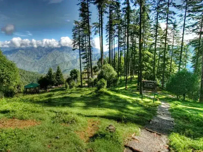 Dhanaulti