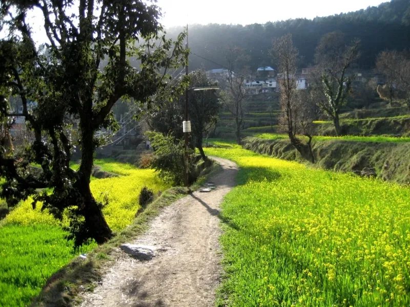 Dharamkot In Dharamsala