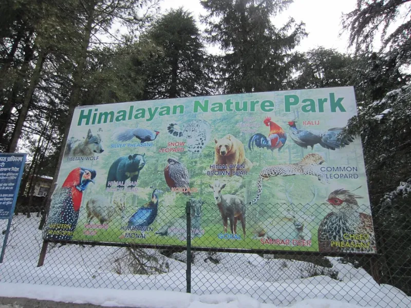 Himalayan Nature Park Shimla