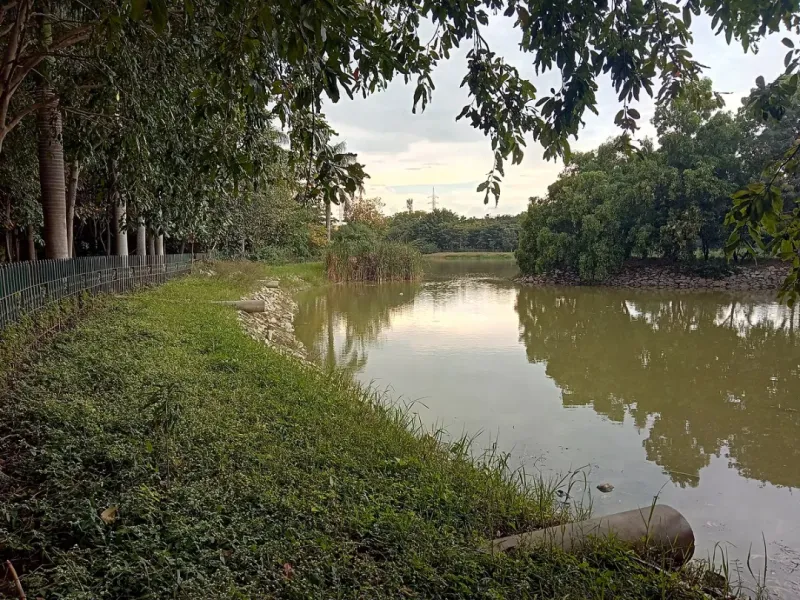 JP Park in Bangalore