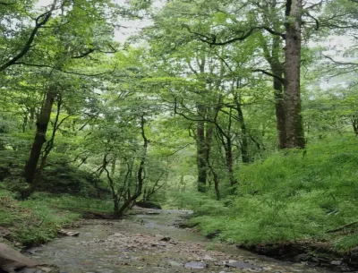 Kilbury Bird Sanctuary