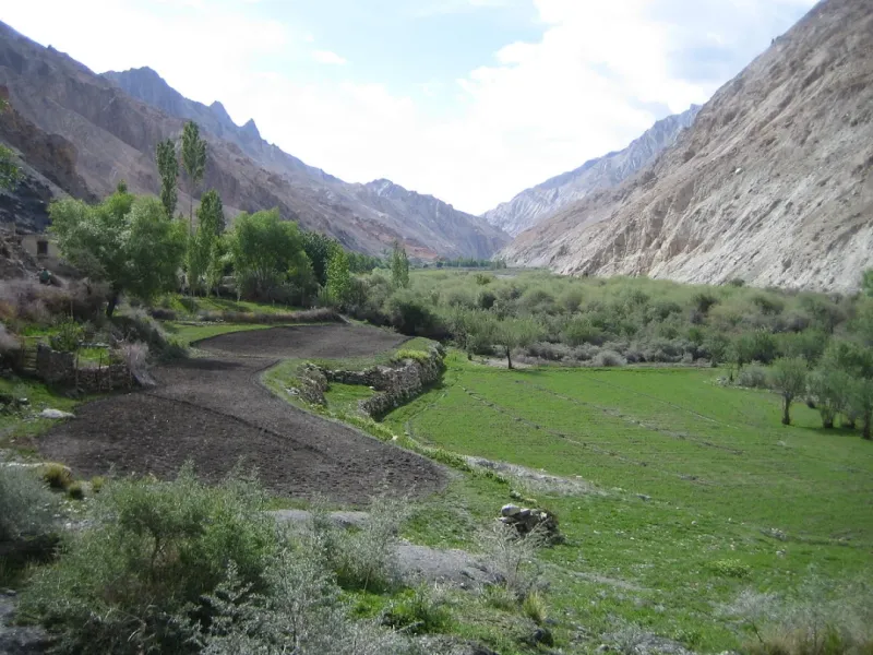 Markha Valley