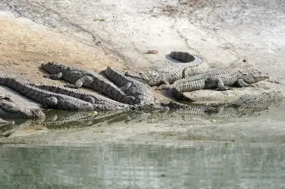 Sajjangarh Biological Park Ticket Price & Guide 2025