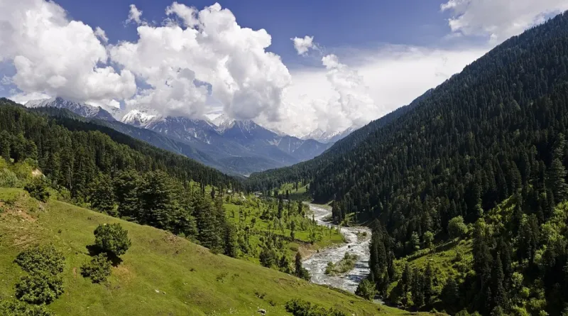 Kashmir 