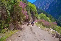 Pangi Valley Travel Guide: Distance, Best Time & Road Map