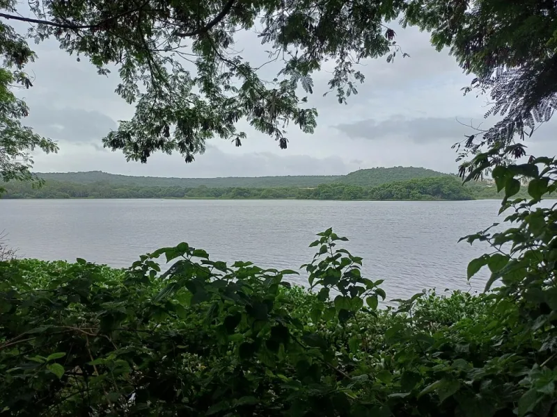Pashan Lake