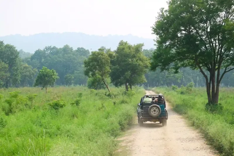 Jim Corbett National Park Time to Visit, Safari Zones, and More