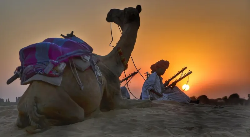 Camel Ride in Jaipur | Tejofy Desert Safari Rajasthan