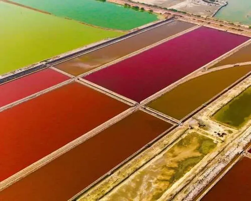 Sambhar Salt Lake