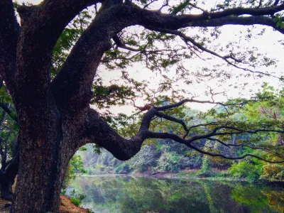 Sanjay Gandhi National Park