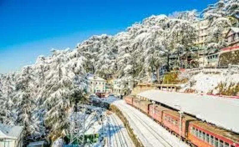 shimla