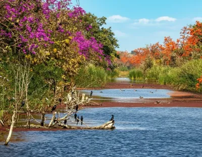 Sita Mata Wildlife Sanctuary