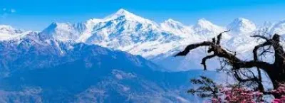 6 Days Do Dham & Tungnath Tour Package 