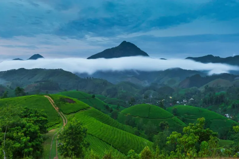 Wayanad