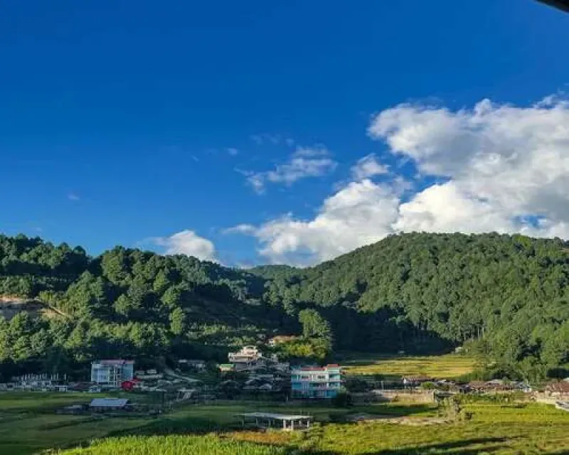 Ziro